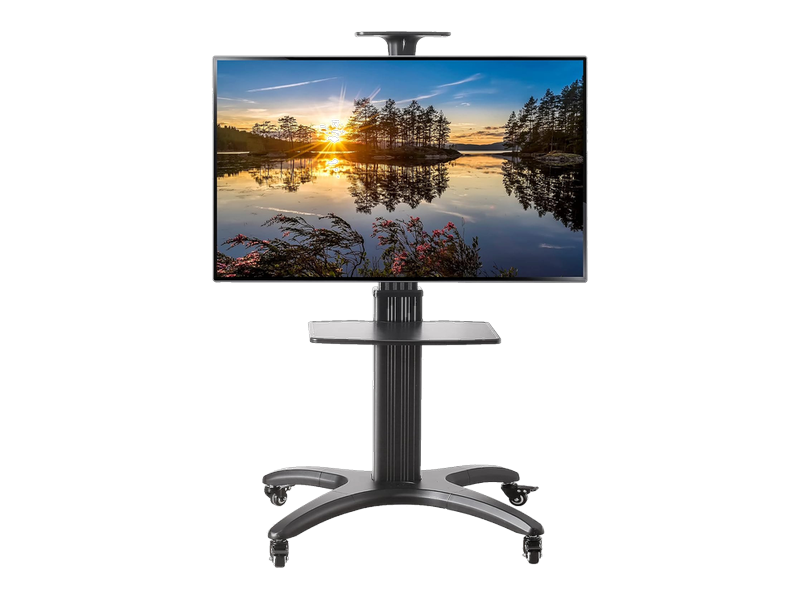 49-inch TV on Floor Stand